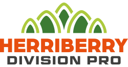 HERRIBERRY Division Pro RVB